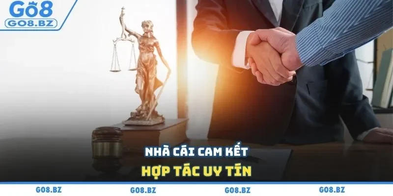 Nhà cái cam kết hợp tác uy tín