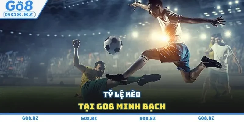 Tỷ lệ kèo tại Go8 minh bạch